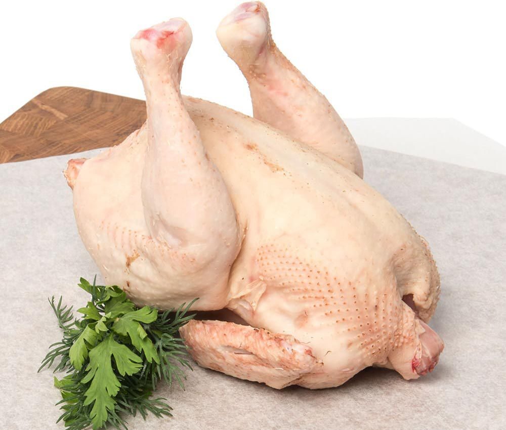 Курица